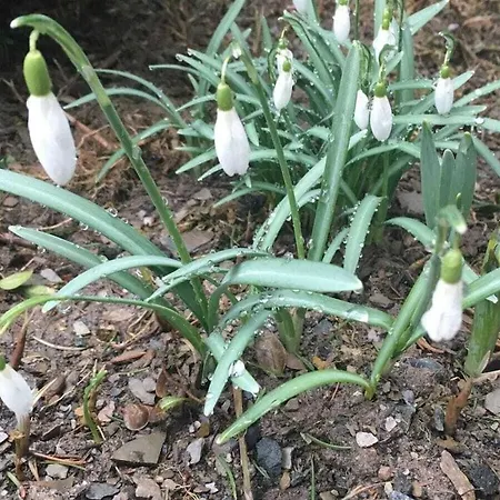 Mountain And Views Hébergement de vacances