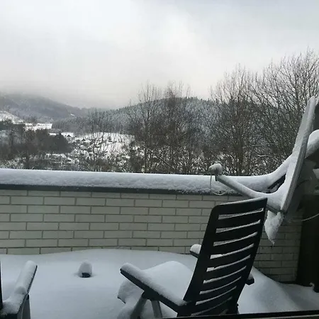 Ferienhaus Mountain And Views Winterberg