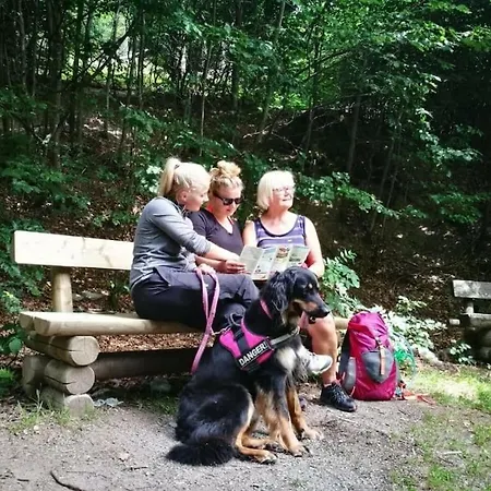 Mountain And Views *