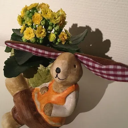 Nyaraló Mountain And Views