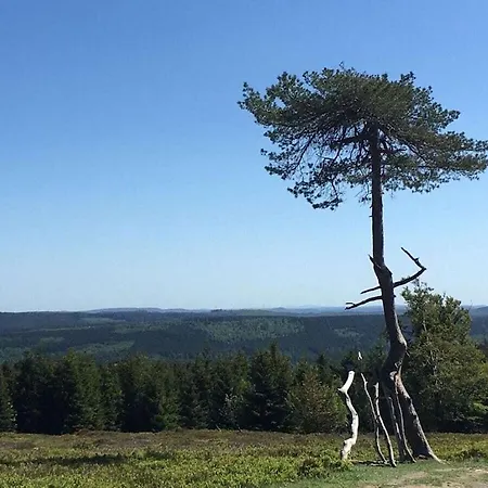 Ferienhaus Mountain And Views
