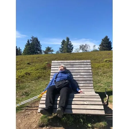 Ferienhaus Mountain And Views *