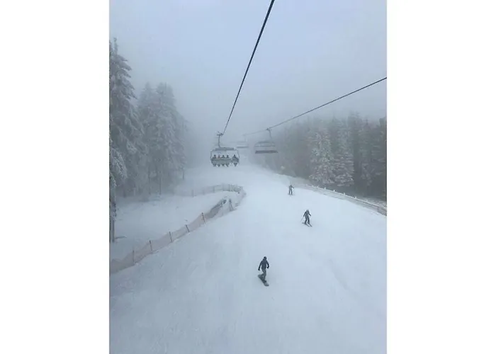 Mountain And Views *