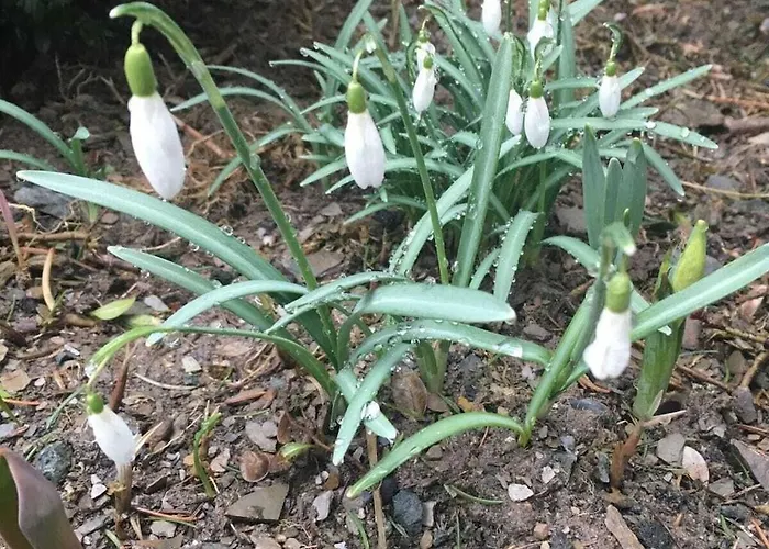 Mountain And Views 度假居