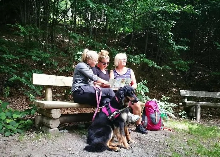 Mountain And Views *