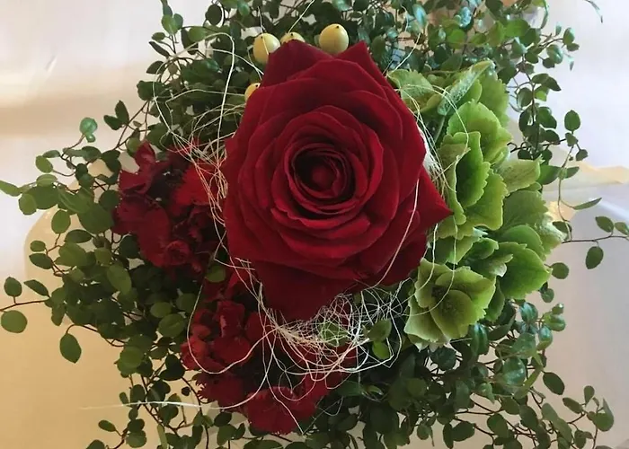 Mountain And Views * 温特贝格